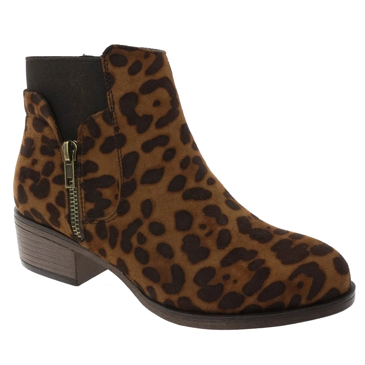 Pierre Dumas Dylan 2 Booties in Leopard