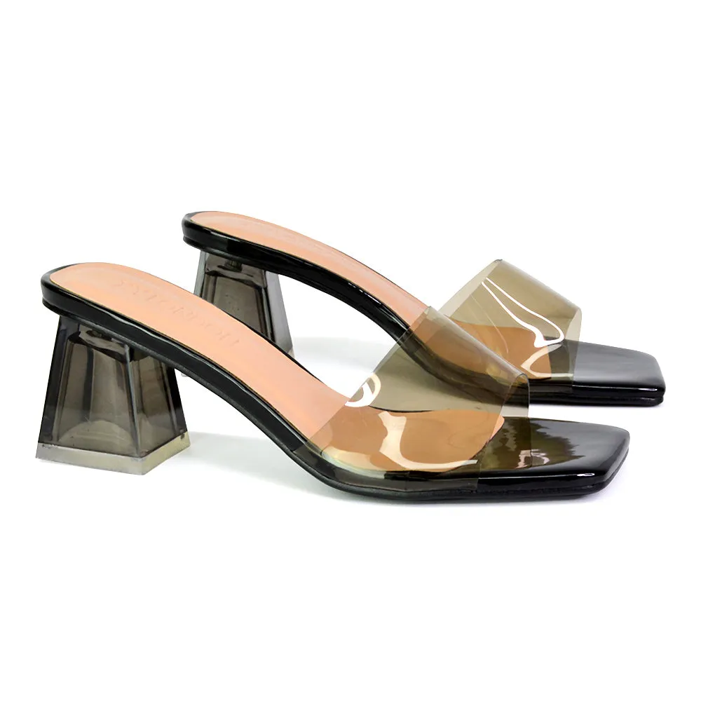 Strawberry Perspex Strappy Square Toe Clear Block Heel Mules in Silver