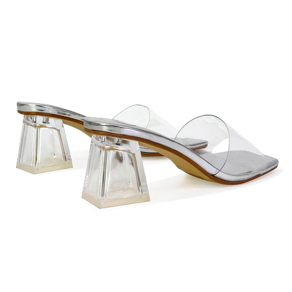 Strawberry Perspex Strappy Square Toe Clear Block Heel Mules in Silver